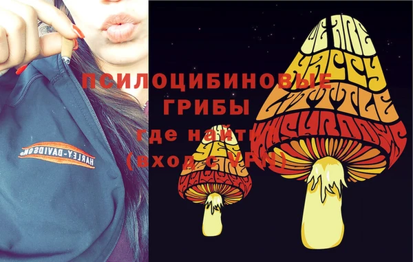 первитин Армянск
