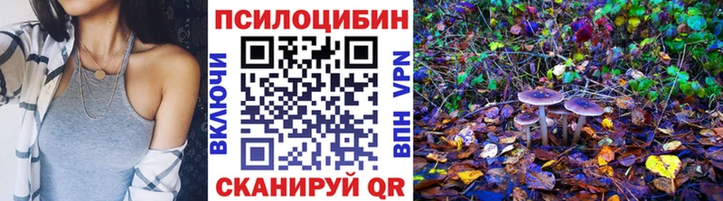 Псилоцибиновые грибы мицелий  Феодосия 